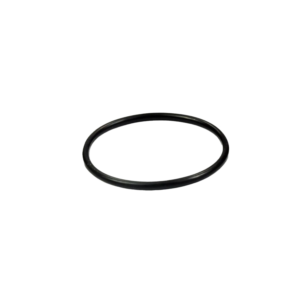 O-ring, -029