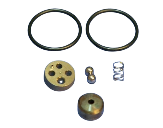 Check Valve Repair Kit