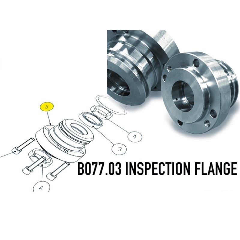 Flange For Inspection