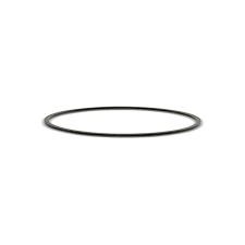 O-ring, -244